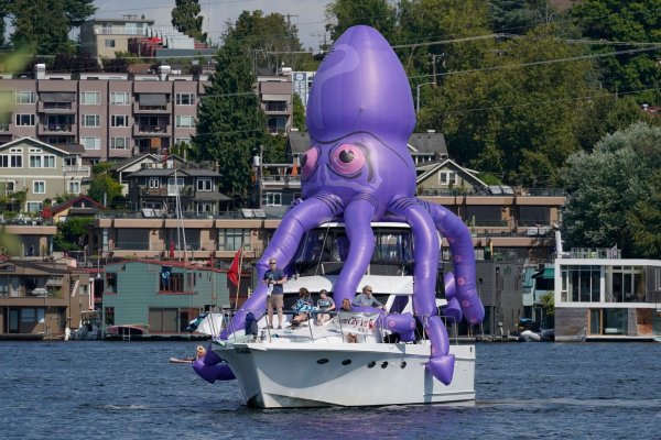 Kraken place