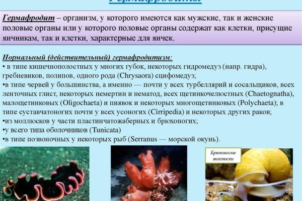 Kra36.at