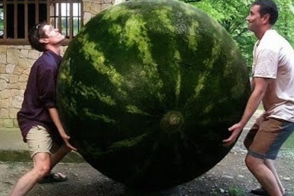 Ошибка на сервере кракен